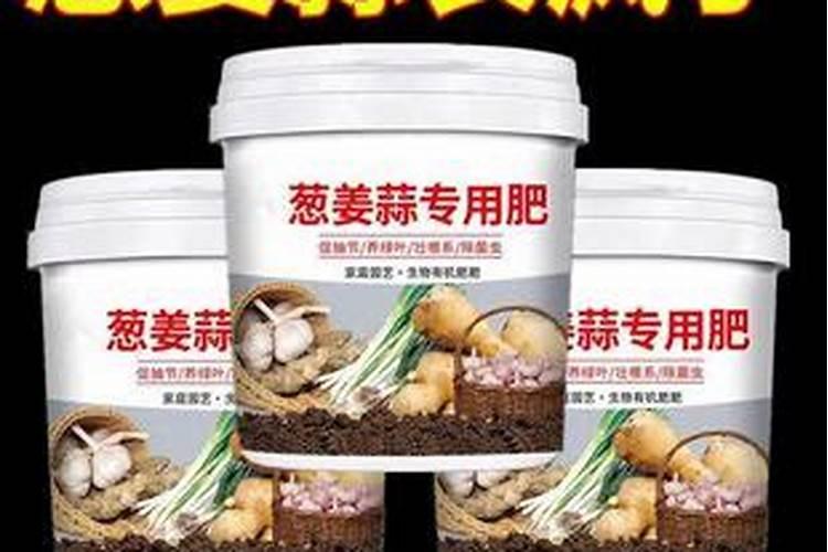 葱姜蒜抗病增产素使用方法