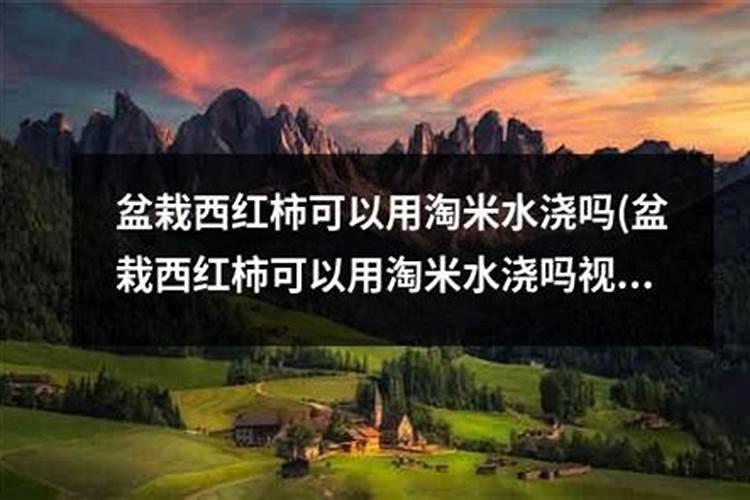 番茄秧不长锌肥和尿素能施吗？
