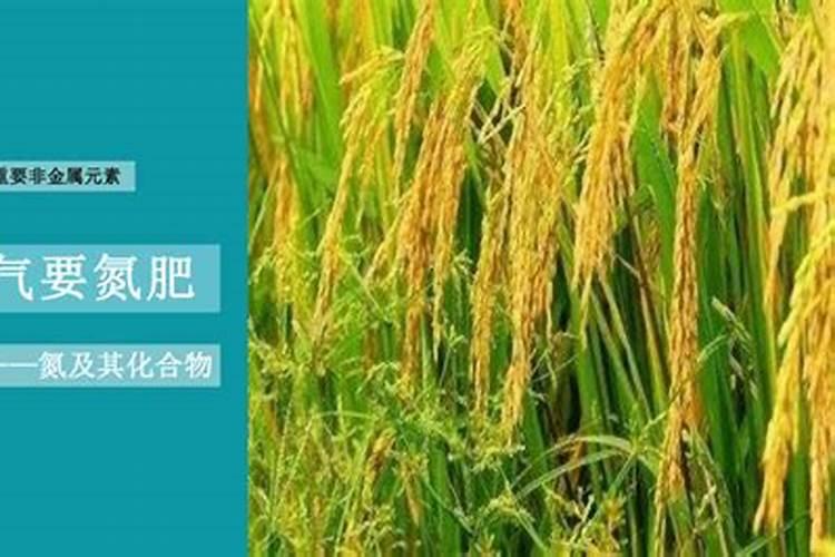 利用空气制取氮肥的化学方程式
