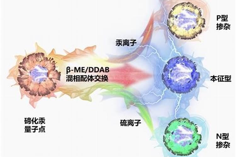硼肥的10大禁忌