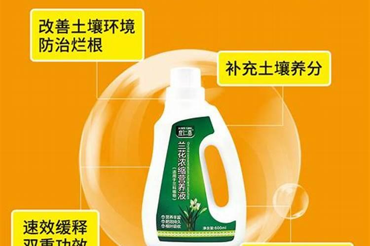 什么肥能促进根的生长
