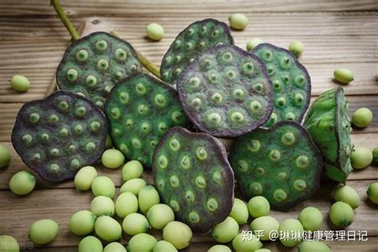 莲子种植技术