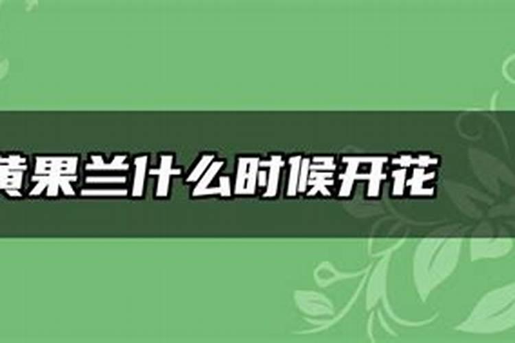 桔子施肥施什么肥最好