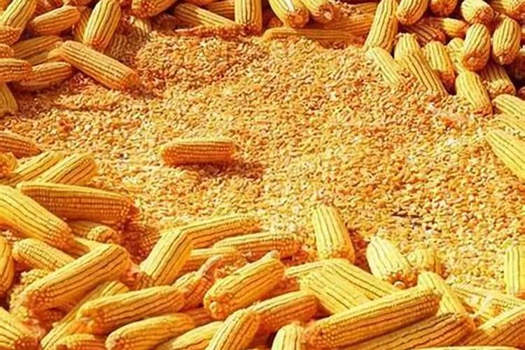 种玉米用什么化肥最好？