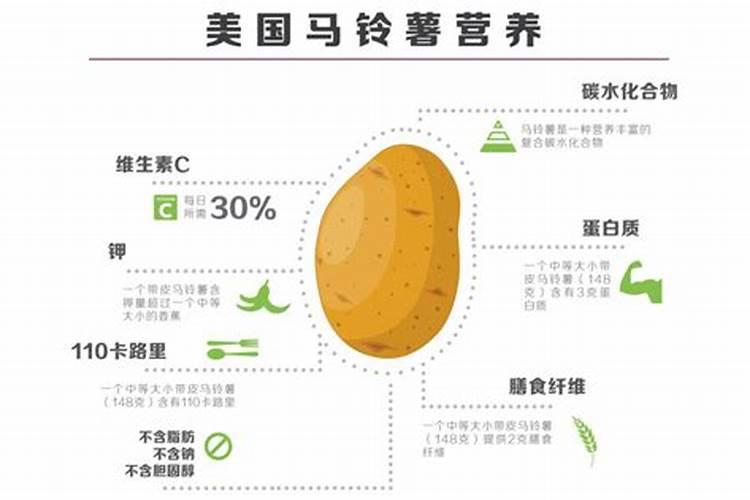 种马铃薯用什么肥料最好