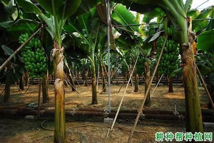 纯碱与氮肥