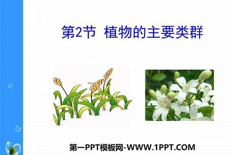 氮肥适合什么农作物 氮肥属于哪种肥料