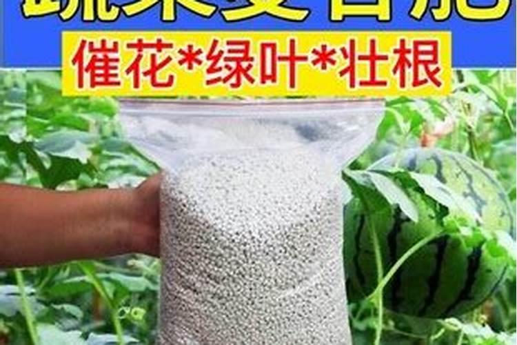 怎么给花补氮肥
