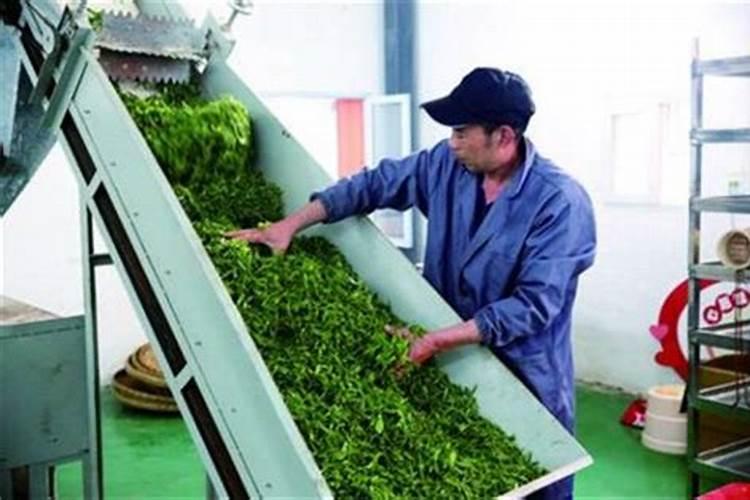 茶叶专用肥能用来种菜吗？