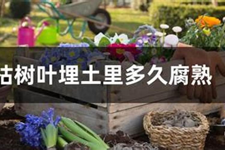 落叶直接埋土里能做肥料吗树叶埋在地里可以做肥料吗