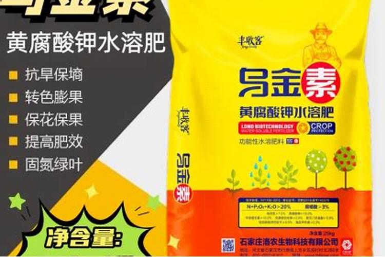 蔬菜干怎么自己做