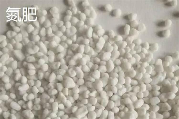 豌豆底肥放什么肥好(底肥施用方法)