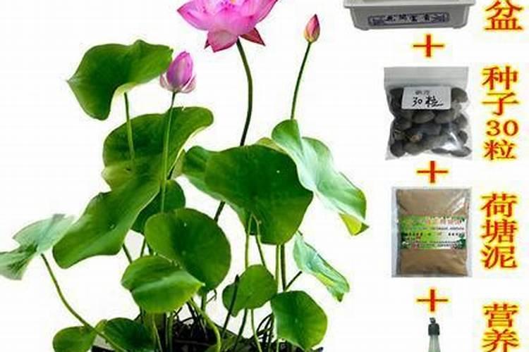 农户种植西瓜,一般多久追一次肥呢？追肥时需要注意些什么？