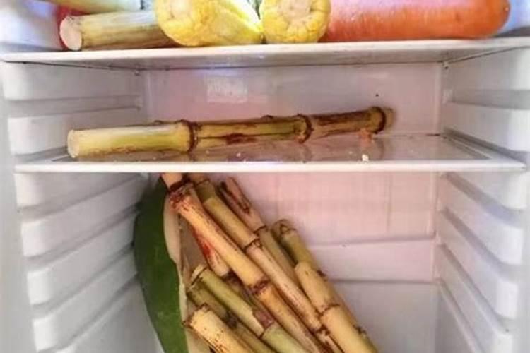 种植甘蔗用什么肥料最好