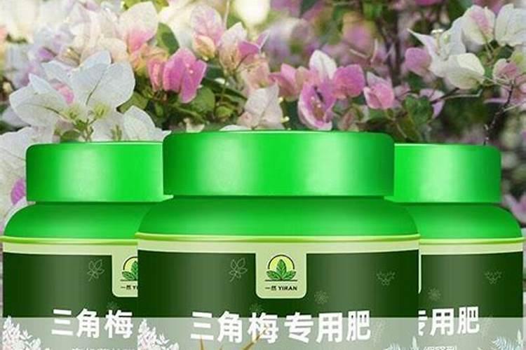 复合肥可以浇三角梅吗