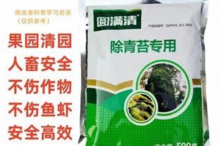 用青苔种兰花怎么施肥