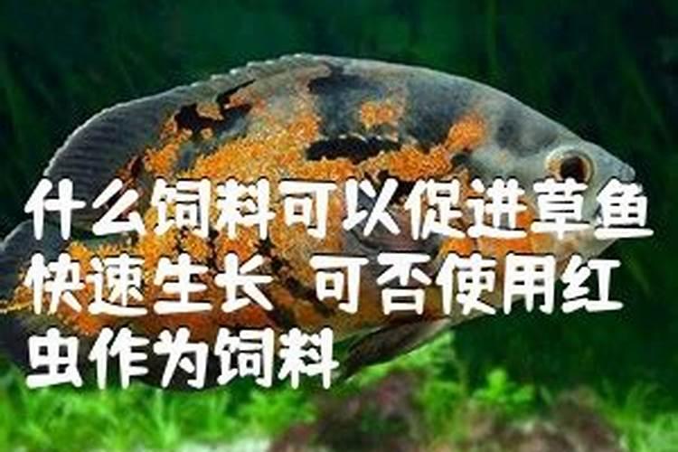 红糖十尿素十磷肥十老陈醋对鱼的生长有什么好处