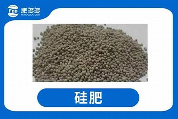 水稻缺硅要怎样施用硅肥改善？