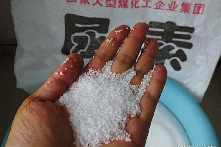 氮肥有哪些种类