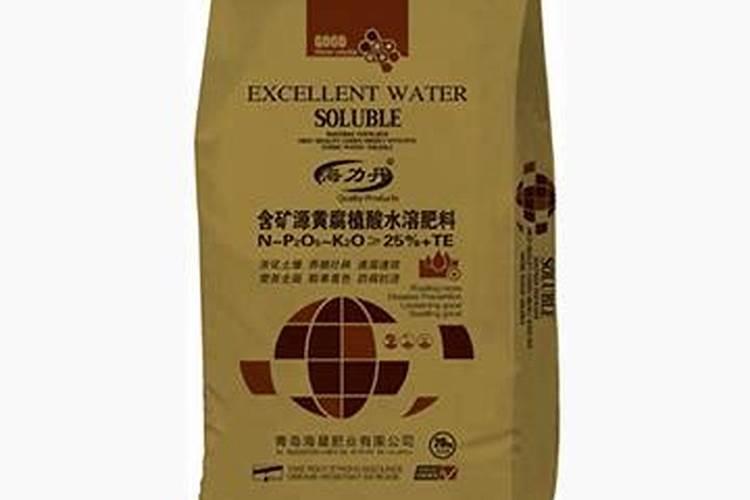 毛海星怎么养