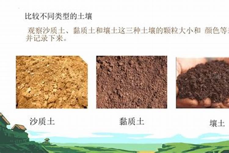 钾肥的正确使用方法