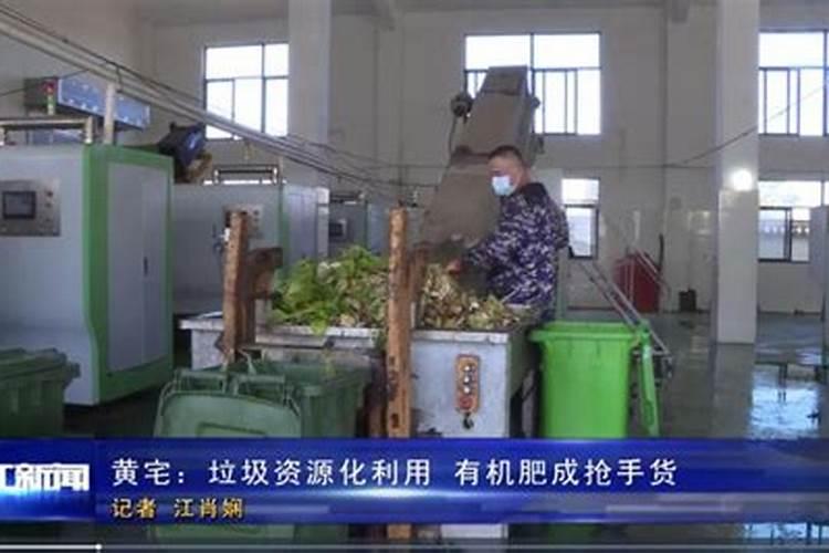 芸豆喜欢什么叶面肥