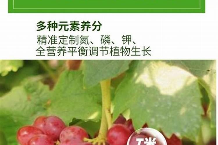 秦皇岛撒可富复合肥多少钱现在？