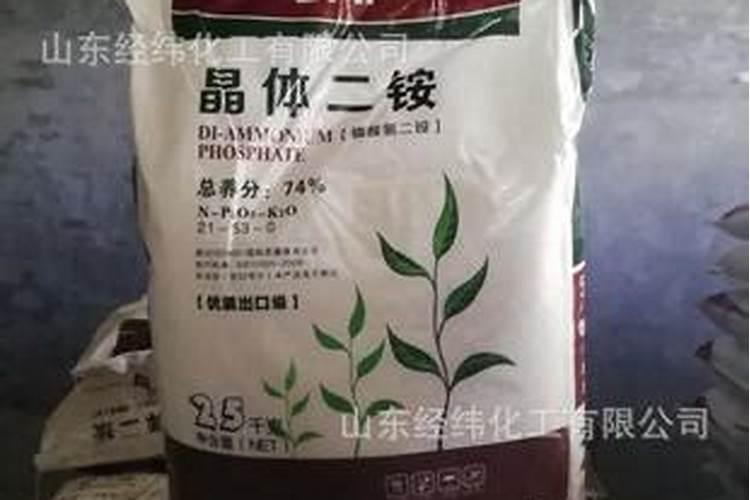 高钾食物含钾一览表