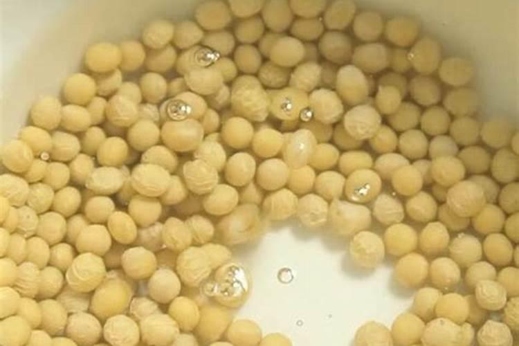 泡黄豆水能直接浇花吗,黄豆水浇花正确方法