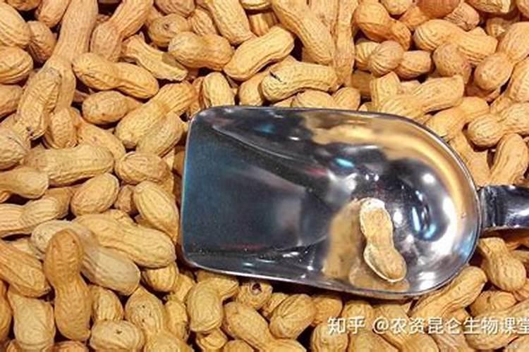 花生施肥时间及方法