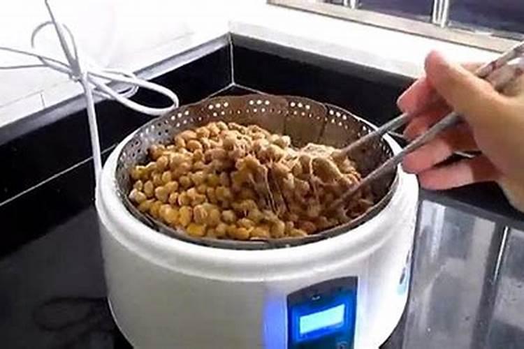 纳豆芽孢肥料概述