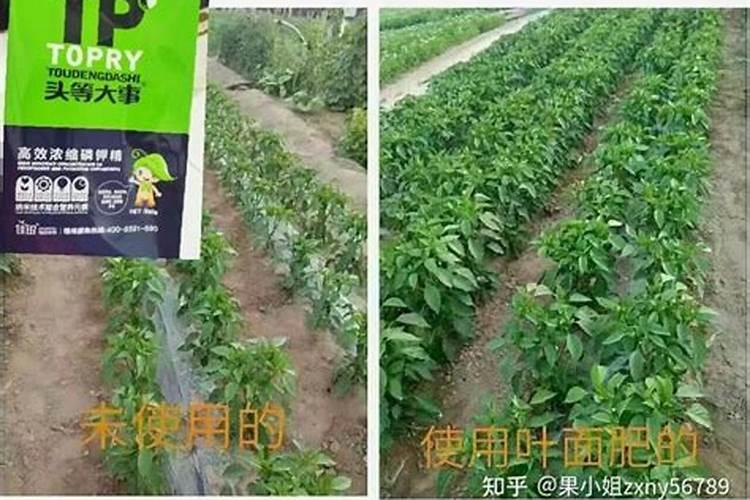 一亩地用多少硼肥