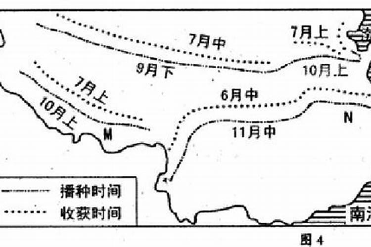 苏北油菜种植时间和方法