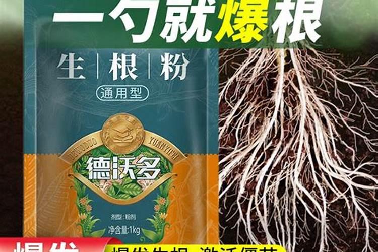多肉可以施复合肥吗