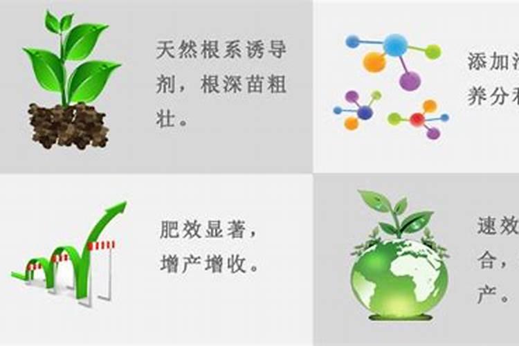 莲雾种多久结果 莲雾种植多久能结出果实