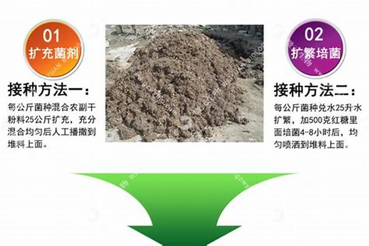 自制含钾高的肥料