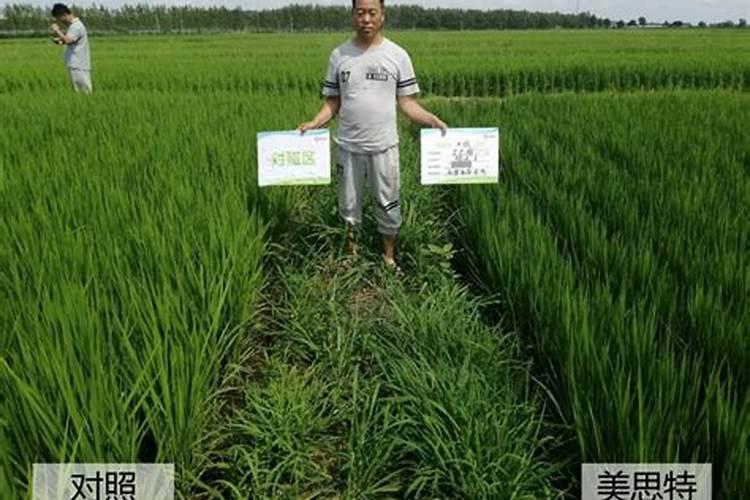 氮肥的作用有哪些