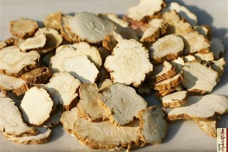 白芷施什么肥