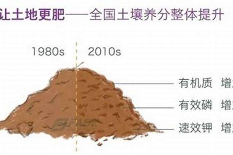 有机肥料是指什么肥料 使用有机肥料的好处有哪些