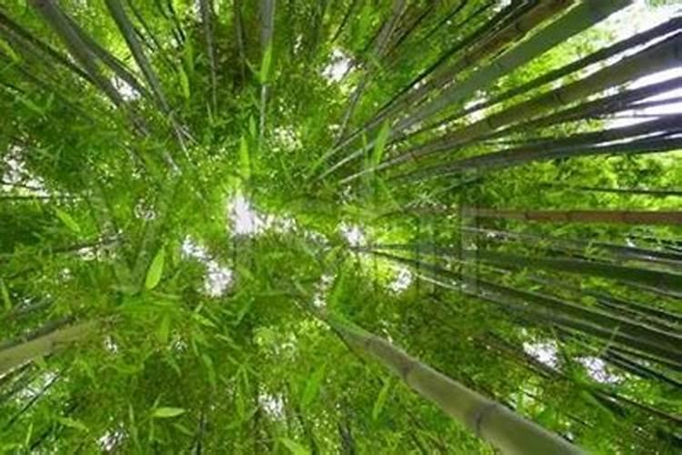 一亩大豆需要施多少化肥
