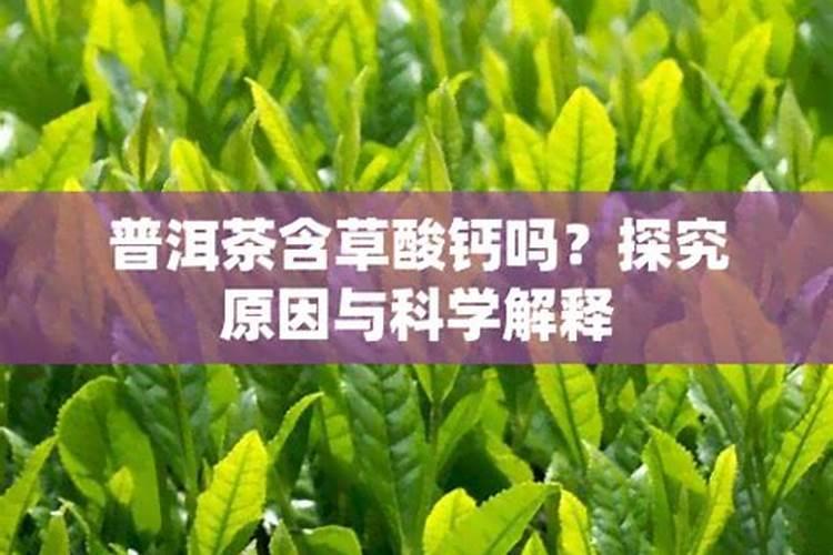 硫酸钾肥料适合种什么