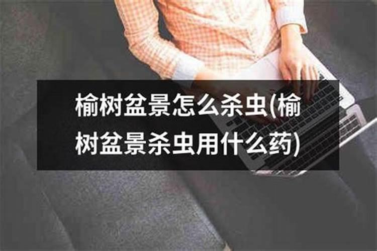 在养花时如何使用磷肥