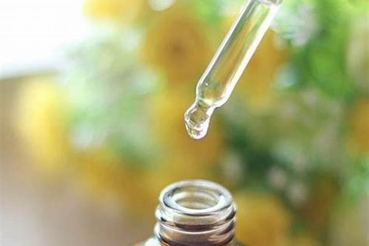 生菜的种植方法和时间
