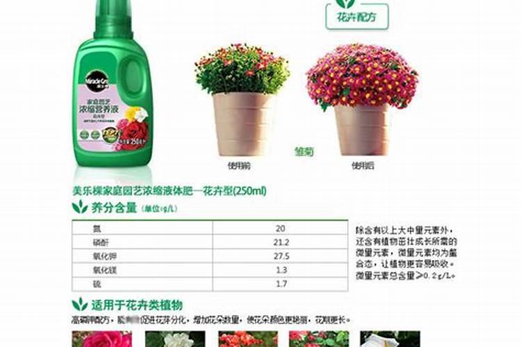 养花一般要施什么肥料
