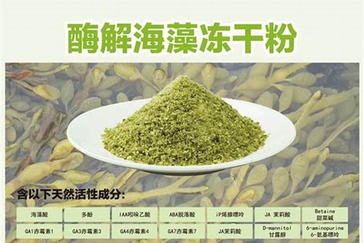 酶解鱼蛋白肥料功效