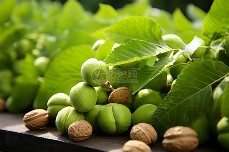 菜籽油枯发酵液可做叶面肥吗？