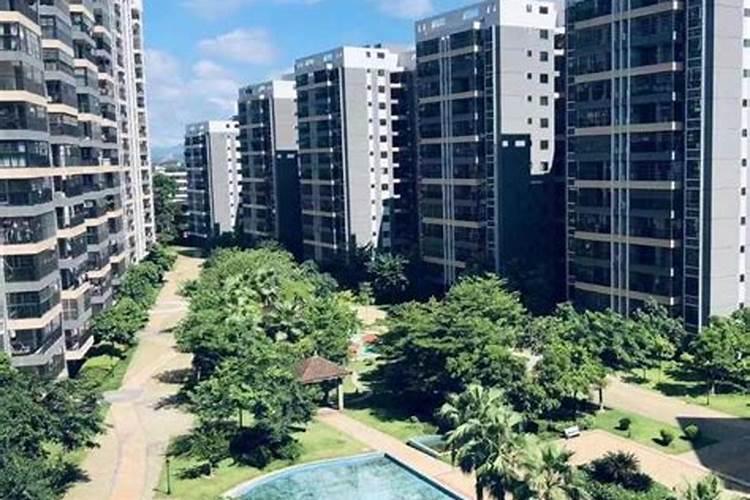 怎样给月季上奥绿肥