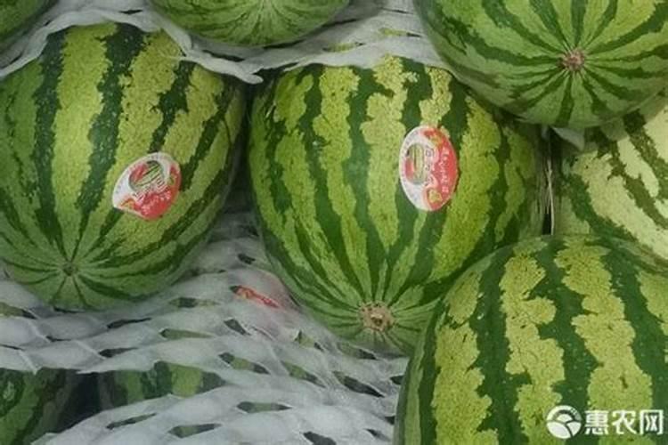 宁夏中卫硒砂瓜 那个地方比较多,现在是否成熟了。多少斤起步？多少...