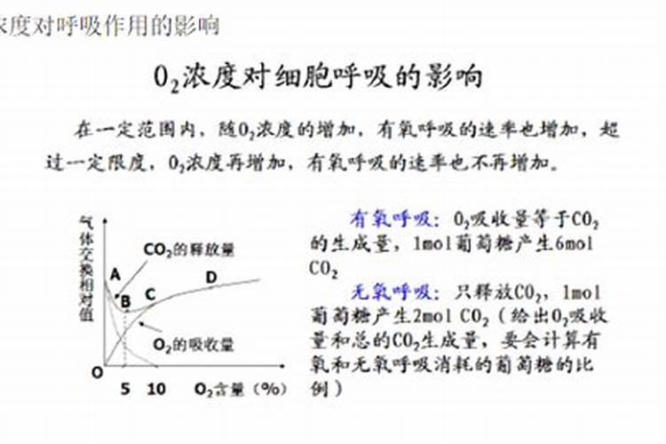 石榴树最忌三种肥料