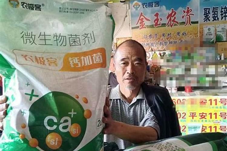 园林的五个基本组成要素是